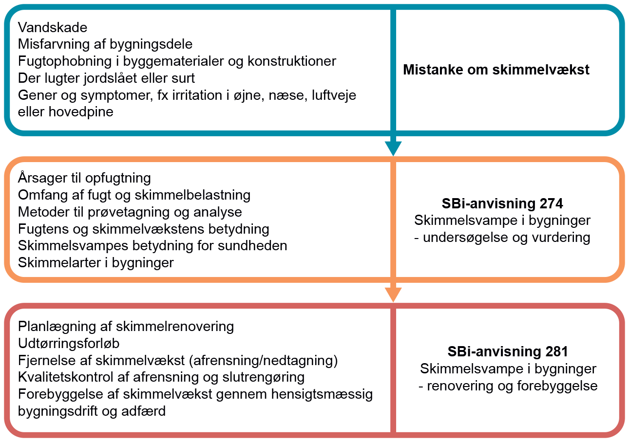 Diagram over indholdet i de to anvisninger om skimmel i bygninger. SBi-anvisning 281, BUILD, Aalborg Universitet