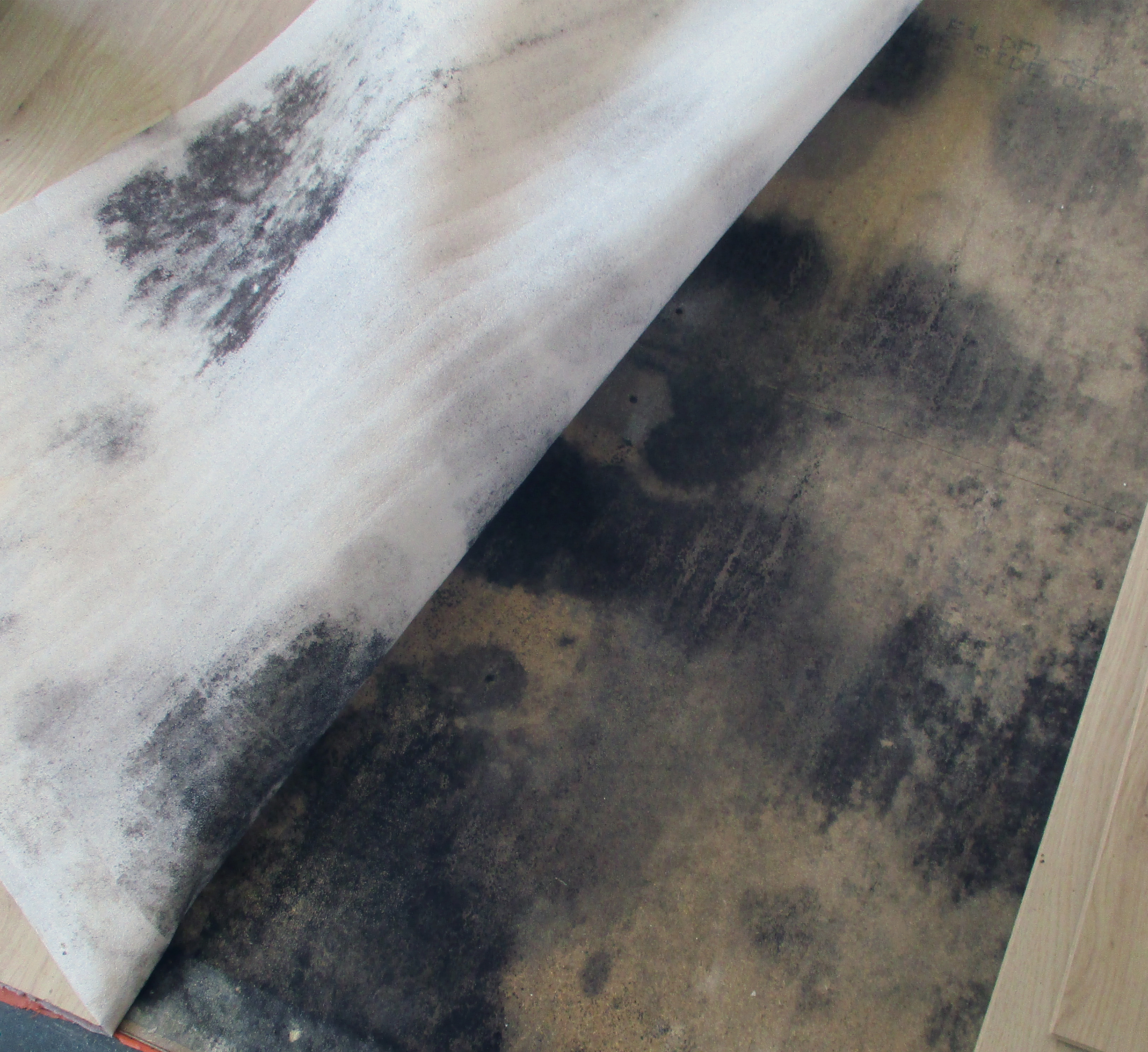 Skimmelvækst på undergulv hvor gulvbelægning og trinlydsisolering er trukket til side. SBi-anvisning 281, BUILD, Aalborg Universitet