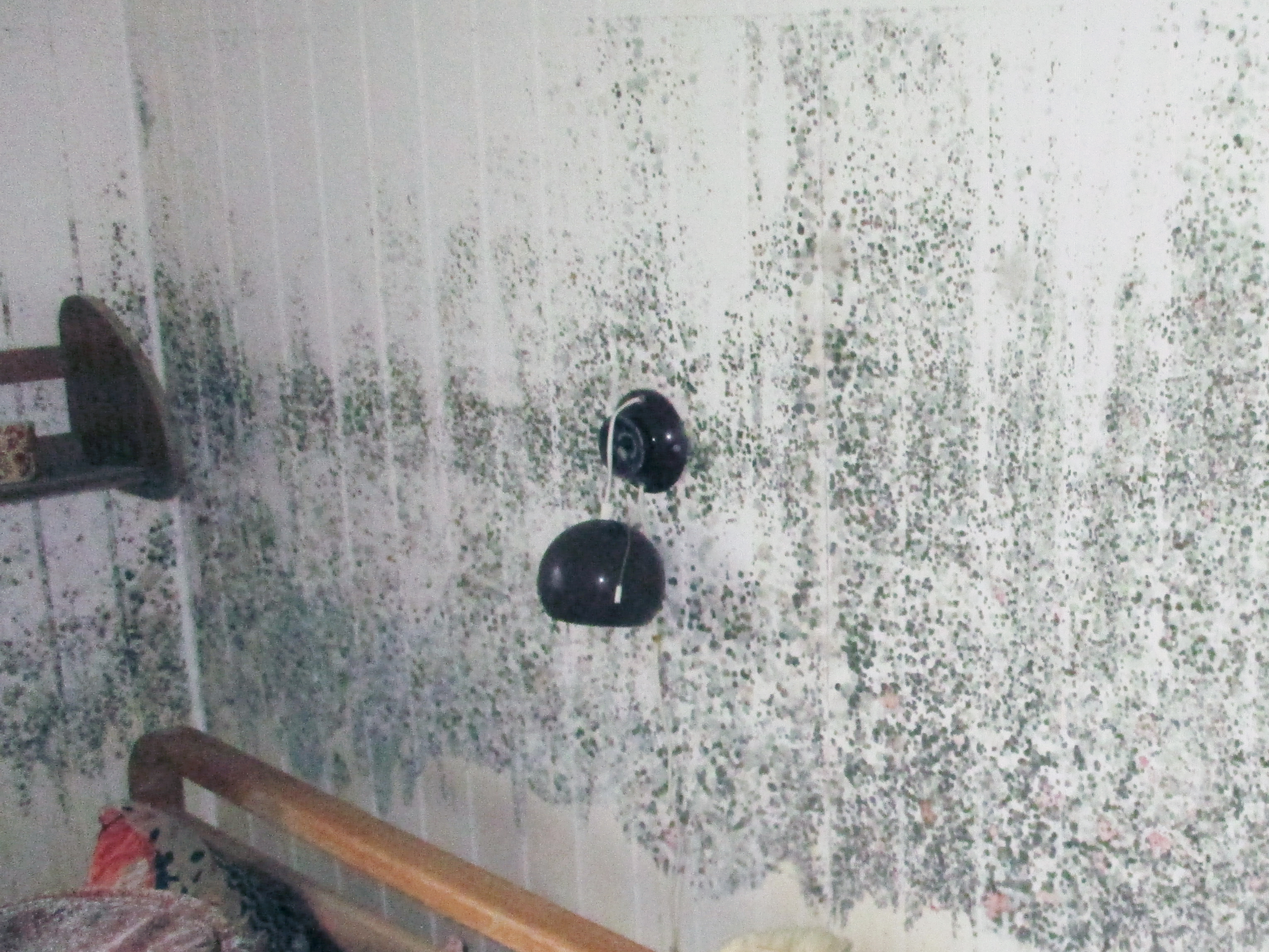 Skimmelvækst på væg med tapet/glasvæv/maling. SBi-anvisning 281, BUILD, Aalborg Universitet